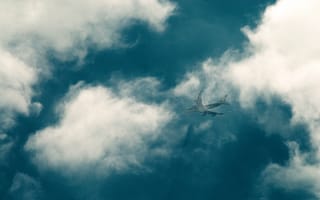 Картинка шлейф, небо, облака, самолет