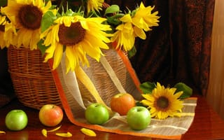 Картинка фрукты, яблоки, цветы, натюрморт, лепестки, подсолнухи