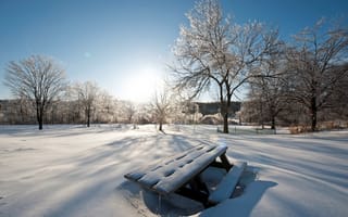 Картинка снег, природа, зима