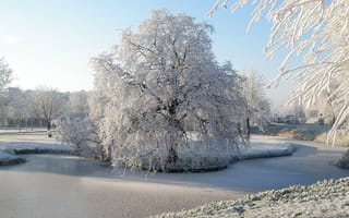 Обои деревья, природа, иней, парк, река, зима, снег