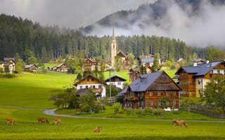 Картинка дома, коровы, австрия, деревня