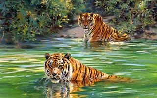 Картинка тигры, арт, donald grant