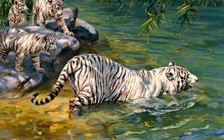 Картинка арт, donald grant, тигр, белый