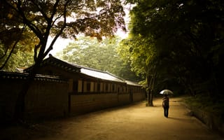 Картинка девушка, дворец чхандок, сеул, чхандоккун, стена, корея, зонт, дворец процветающей добродетели