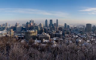 Картинка канада, деревья, снег, монреаль, зима