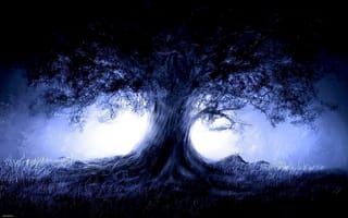 Обои ночь, дерево, туман