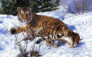 Картинка тигрица, снег, тигры, тигрята, зима, арт