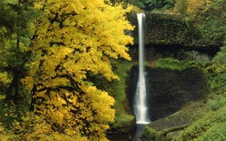 Картинка осень, деревья, лес, водопад, природа