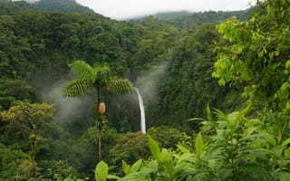 Картинка водопад, бананы, Природа