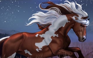 Картинка арт, мустанг, лошадь