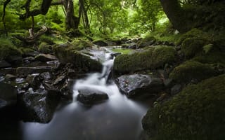 Обои природа, поток, вода, камни, листья, лес, река