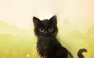 Картинка черный, трава, арт, кошка, котенок, кот
