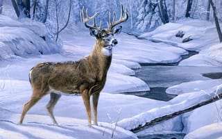 Картинка ручей, лес, снег, олень, живопись, зима