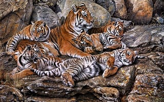 Картинка alan m hunt, арт, тигрята, камни, тигрица