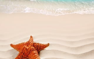 Обои лето, песок, пляж, Море