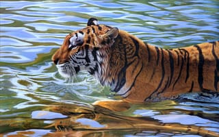 Картинка тигр, mickey flodin, арт, вода