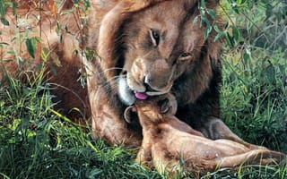 Обои львёнок, terry isaac, ласка, арт, отцовство, лев