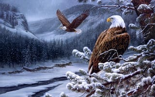 Картинка живопись, шишки, сосна, зима, лес, ели, орёл, горы, орел, орлы