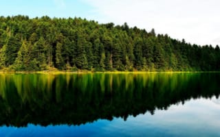 Картинка отражение леса в нем и облаков, природа, лес озеро