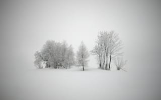 Картинка вьюга, снег, зима, новый год, холод, деревья, метель, мороз, пейзажи, пурга