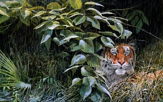 Картинка дождь, john seerey-lester, тигр, арт