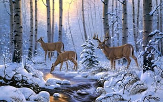 Картинка олени, лес, деревья, снег, арт, зима, ручей, derk hansen