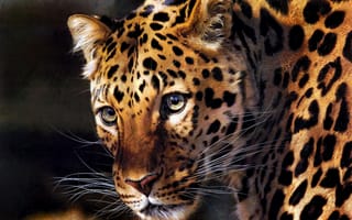 Картинка арт, carl brenders, леопард, хищник