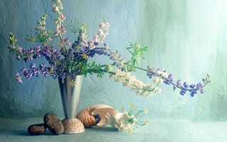 Картинка ваза, ракушка, букет, люпины, цветы