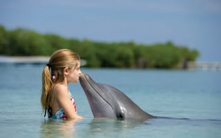 Картинка вода, девочка, Дельфин, поцелуй
