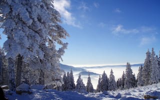 Обои снег, горы, лес, природа, зима