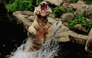 Обои тигр, вода, пасть, брызги