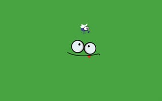 Картинка Лягушка, засада, муха, язык, зеленый, охота
