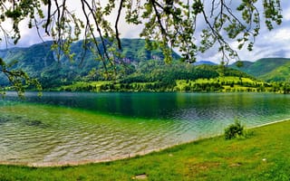 Обои озеро, bohinj, словения, лето, зелень