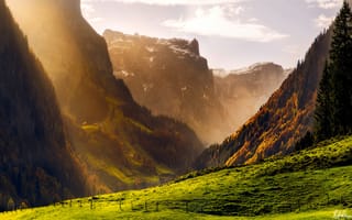 Картинка лес, швейцария, горы, альпы, осень