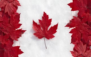 Картинка Флаг, канада, клен, снег, листья