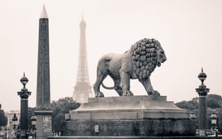 Обои памятники, париж, лев, статуя, франция, город