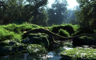 Картинка klontak, река, лес, вода, речка, Арт, бревно, природа