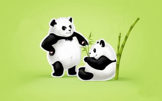 Картинка панды, зеленый фон, пара, листья, бамбук