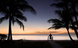 Картинка Вечер на пляже под пальмой