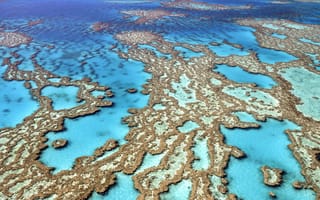 Картинка Коралловые рифы, вид с вертолёта