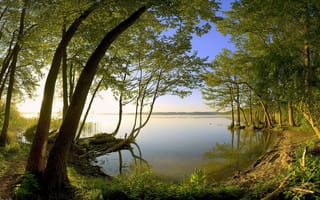 Картинка Утро у озера