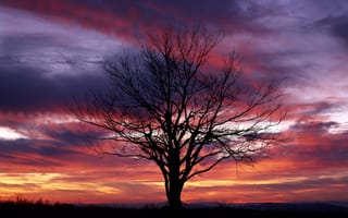 Картинка Яркий закат, Национальный парк Шенандоа, Виргиния