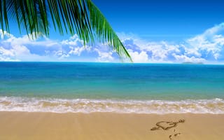 Картинка Пальмовая ветвь на райском пляже