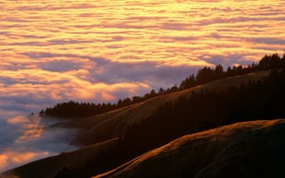 Картинка Густой туман у горы Тамалпайс, Калифорния