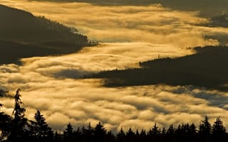 Картинка Туман над водой, Канада, Ванкувер