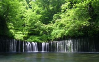 Картинка Густой лес и водопад, Япония, Хоккайдо