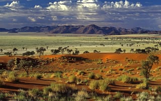 Картинка Пустыня Ток Токи, Намибия