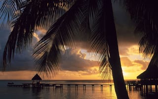 Картинка Атолл Рангироа, архипелаг Туамоту (Французская Полинезия)