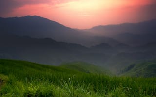 Картинка Рисовые террасы на закате