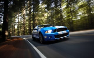 Обои Ford Mustang Shelby GT500